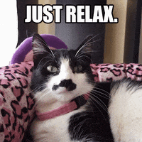 Featured image of post Funny Meme Pfp Gif