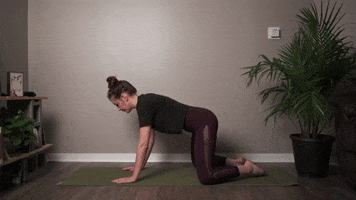 Yoga GIF