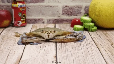 Crab Cooking GIF
