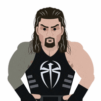 Acknowledge Me The Shield GIF by SportsManias