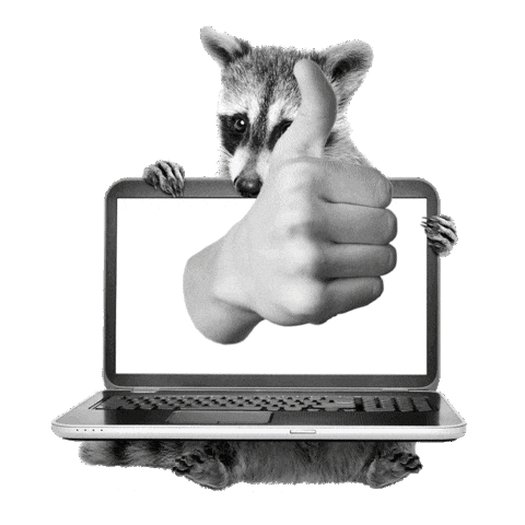 Laptop Daumen Hoch Sticker by bildschnittTV