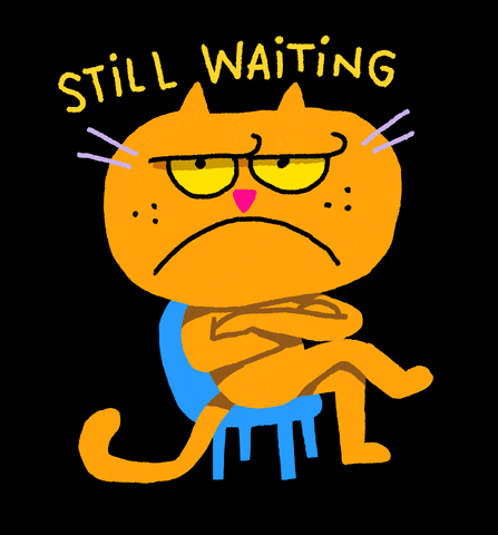 Cartoon gif. A cat sits in a chair with a sour expression on its face, its arms and legs crossed. Text, "Still waiting."