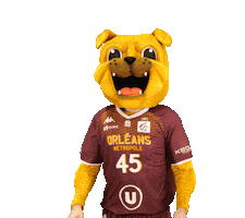 Orleansloiretbasket Sticker by OLB