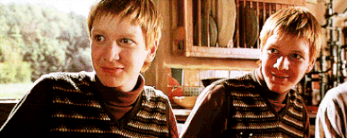 Secret Moneii GIFs - Find & Share on GIPHY