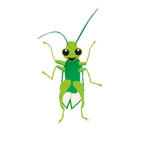 picture Grashopper Gif cricket grasshopper sticker by national