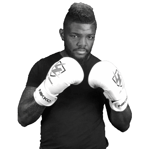 Muhammed Ali Fight Sticker by Luis Tavares