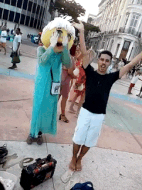 giphy.gif
