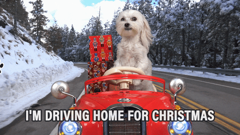 Merry Christmas Car Dog GIF by Warner Music Germany