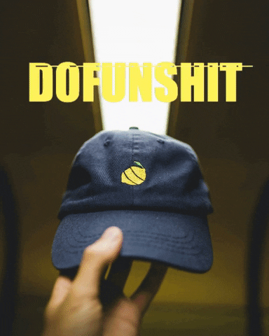 dofunshit GIF