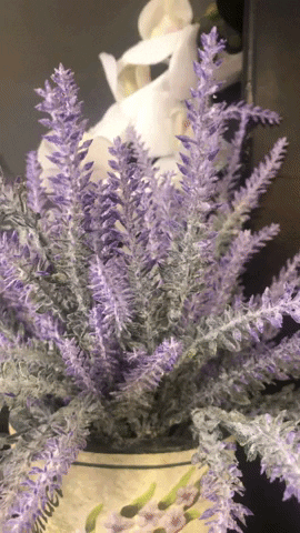 MilwaukeePublicMarket GIF