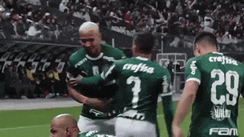 Felipe Melo Pitbull GIF by SE Palmeiras