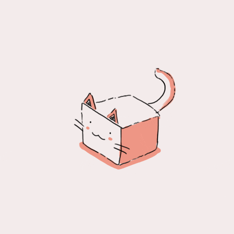 Cat Pop GIF by hoppip