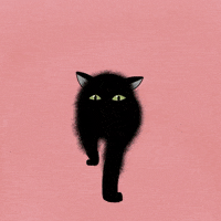 Black Cat GIF by Mochi Motion