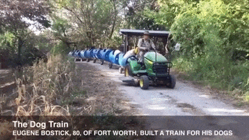 Doggie Train GIF