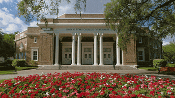 College Of Business GIF by The University of Tampa