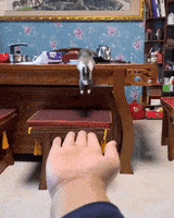 Mood Wow GIF by JustViral.Net