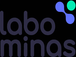 LobaSolucoesUrbanas GIF