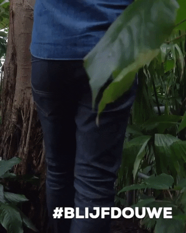 Amsterdenim amsterdam sustainable jungle jeans GIF