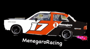 Menegaroracing GIF