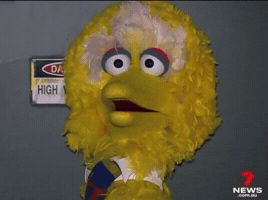 Shocked Big Bird GIF