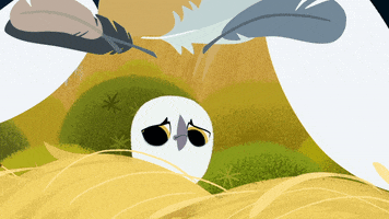 #puffin #rock #puffinrock #sick #puffling #sneezy GIF by Puffin Rock