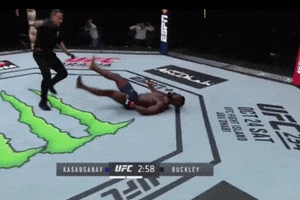 Knock-Out Fight GIF