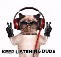 Wireless Earphones GIF