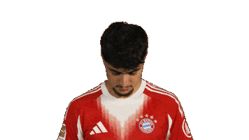 Fc Bayern Pavlovic Sticker by Bundesliga