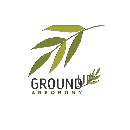 SONIC ESSENTIALS Sticker