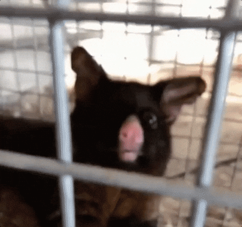 giphy.gif?cid=cd381a3e5d2d7afd753857496f