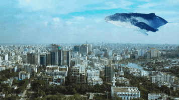 mostafiz flying_blue_whale GIF