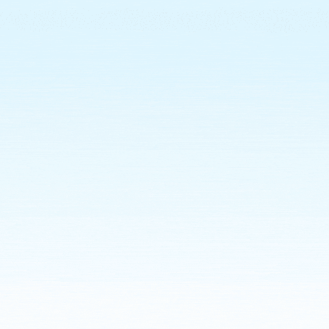 First Payroll Services GIF