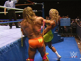 Giphy - Ultimate Warrior Wrestling GIF by WWE