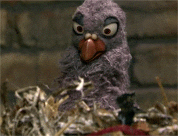 giphy.gif?cid=ecf05e4772d271702382a1e25a