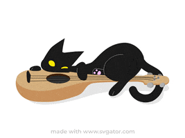 Black Cat GIF by SVGator