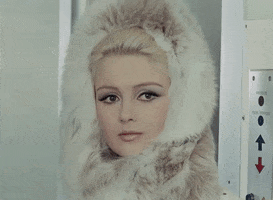 Fur GIF
