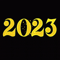 Happy New Year Nye GIF