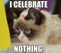 Happy Birthday Cat Gifs Get The Best Gif On Giphy