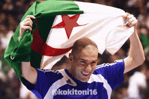 Zinedine Zidane Algeria GIF
