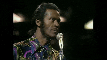 Chuck Berry GIF by tylaum