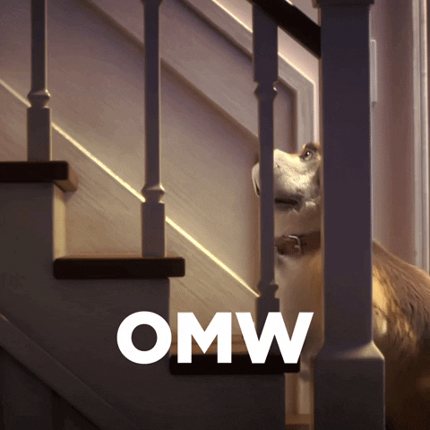 On My Way Cat GIF by Hill's Pet Nutrition