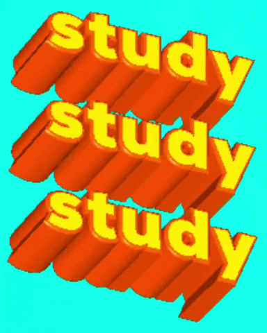 Law School Study GIF by NeighborlyNotary®