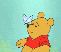 Disney Pooh GIF - Find & Share on GIPHY