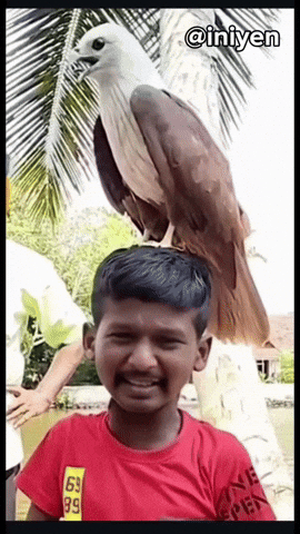 Lokesh GIF