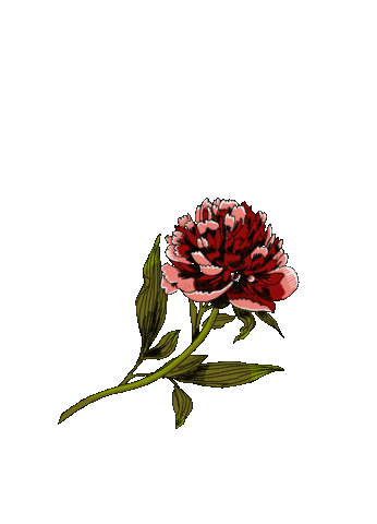 Flower Sticker