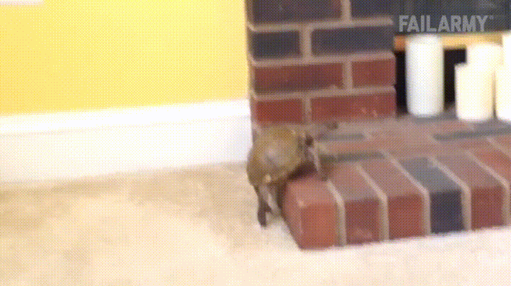 slow GIF