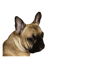 Steinfarm Sticker by ThingsFromSteinfarm