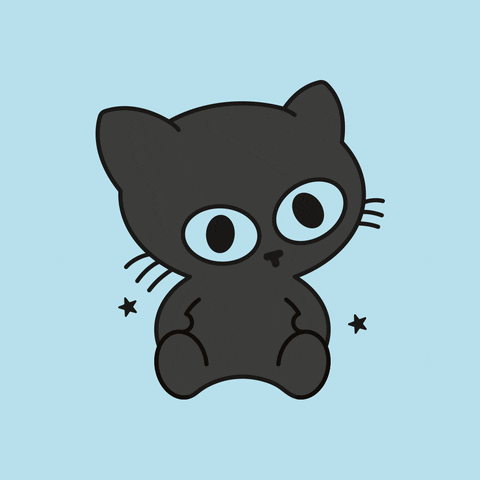 Black Cat Good Luck GIF by Cute Little Club