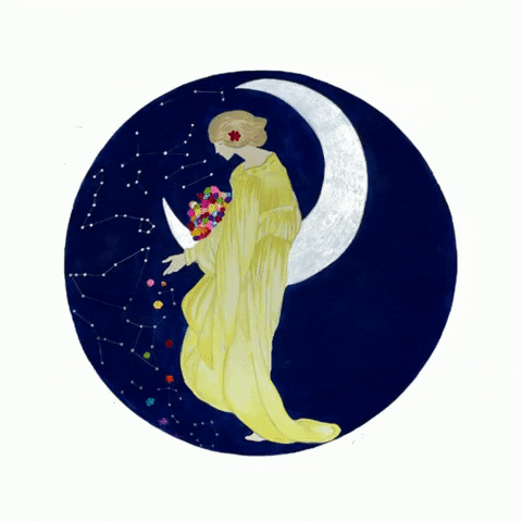Moonshadow Festival GIF
