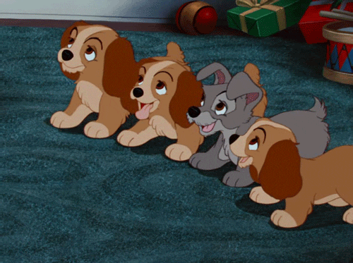 Excited Lady And The Tramp GIF - Find & Share on GIPHY